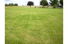 Property photo 13 - 75+/- Acres in 9 Tracts